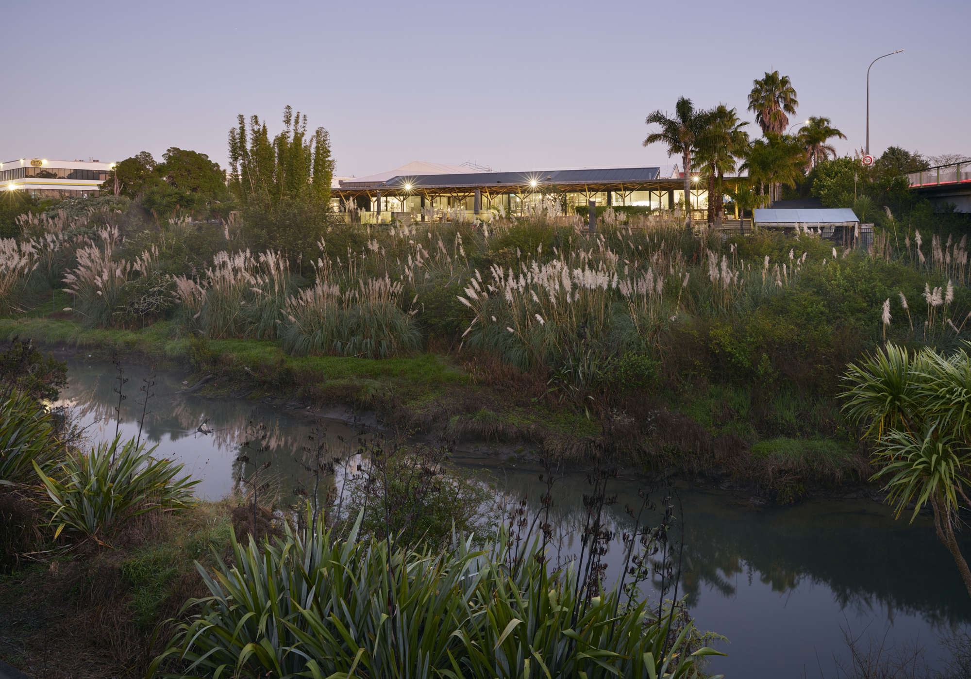 New Shoots Pakuranga centre building viewed across adjacent waterway with palm trees and ornamental grasses at dusk