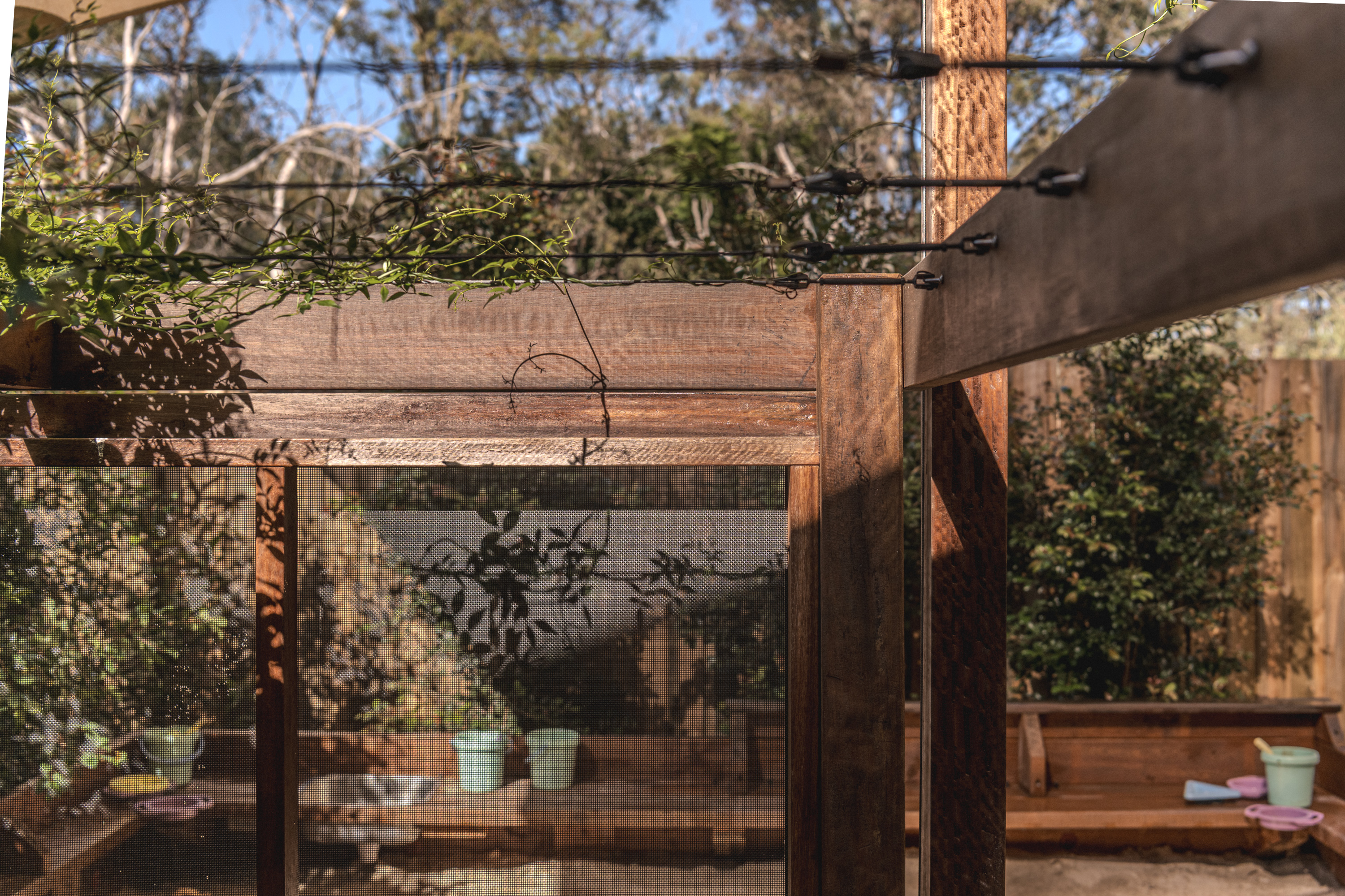 Detail of the timber climbing trellis