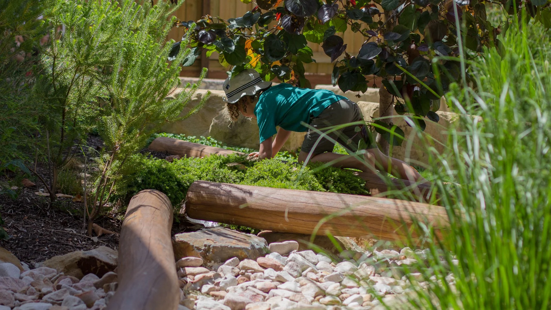 Outdoor learning environment