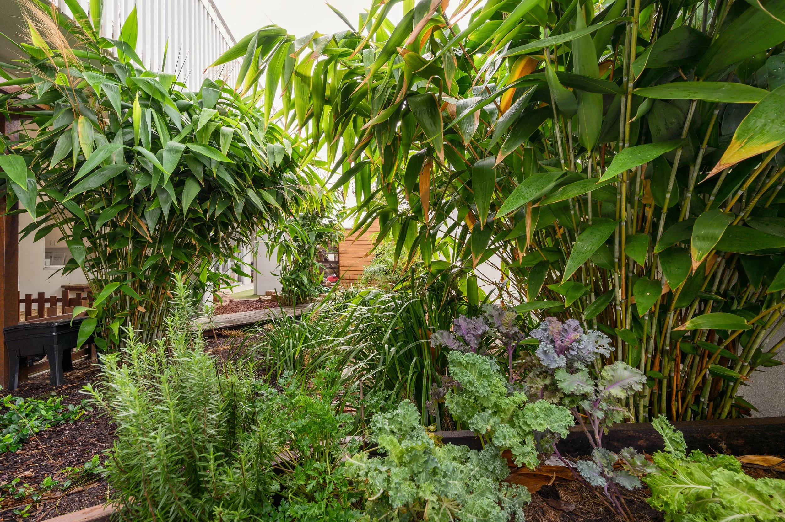 Timber play elements