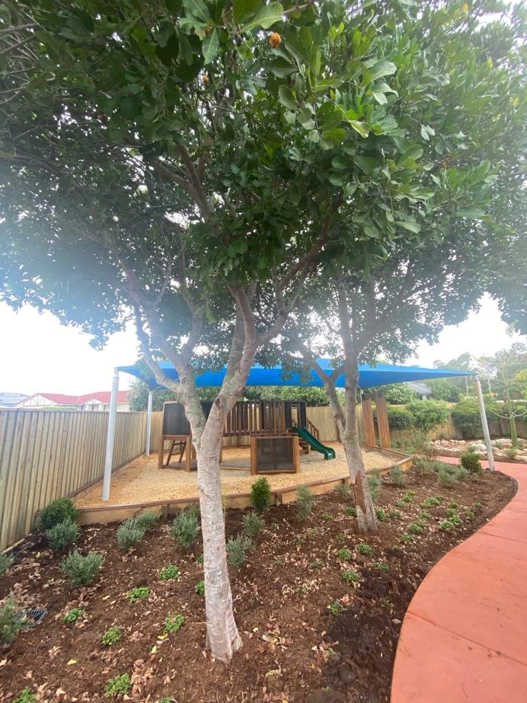 Timber play elements