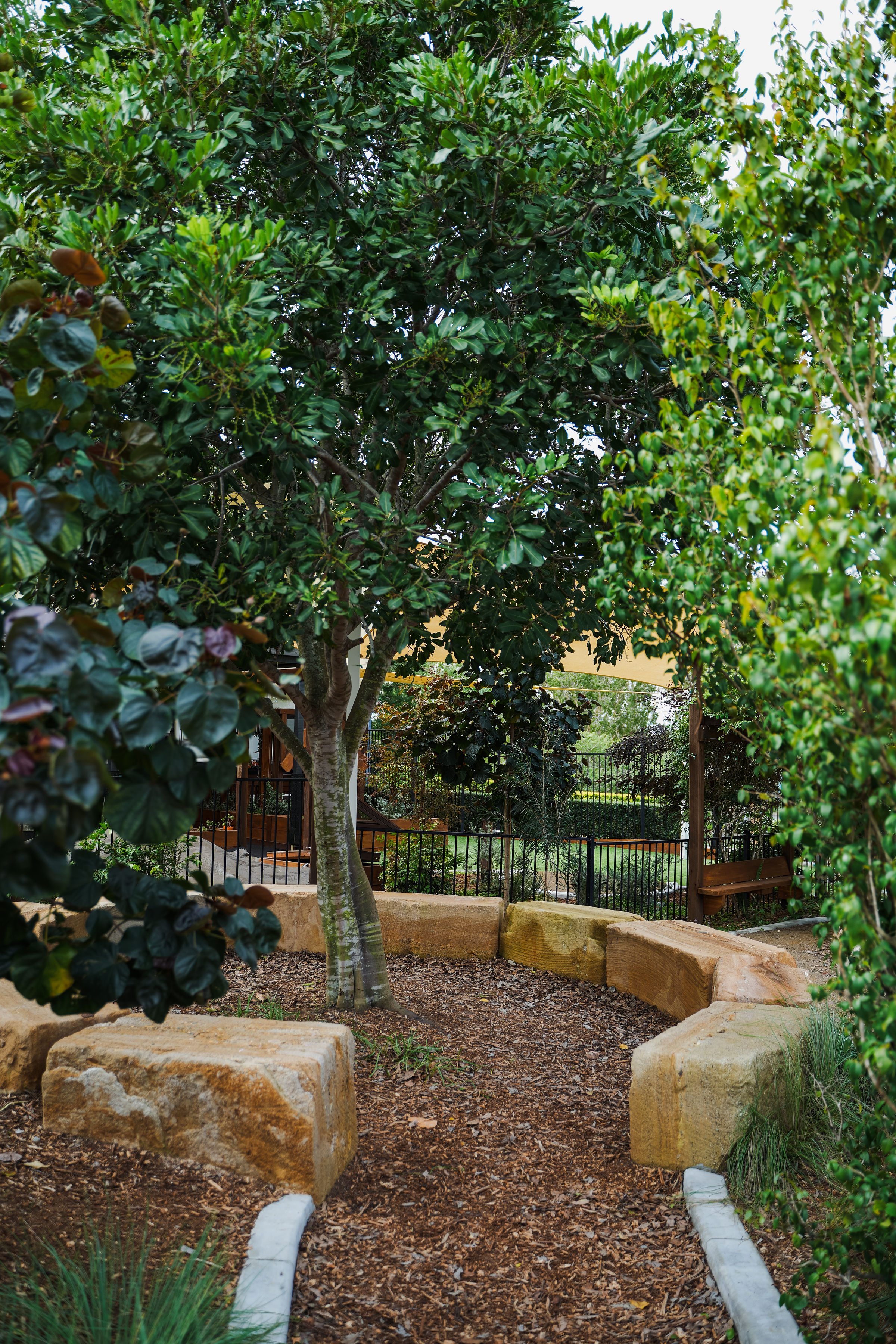 Sandstone boulders and log seating beneath the shade trees