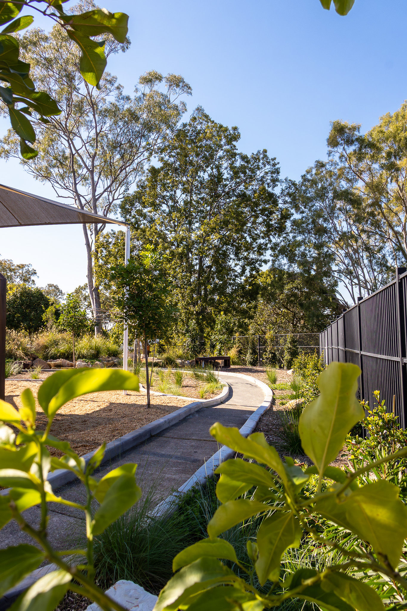 A pathway winding through the nature play zone