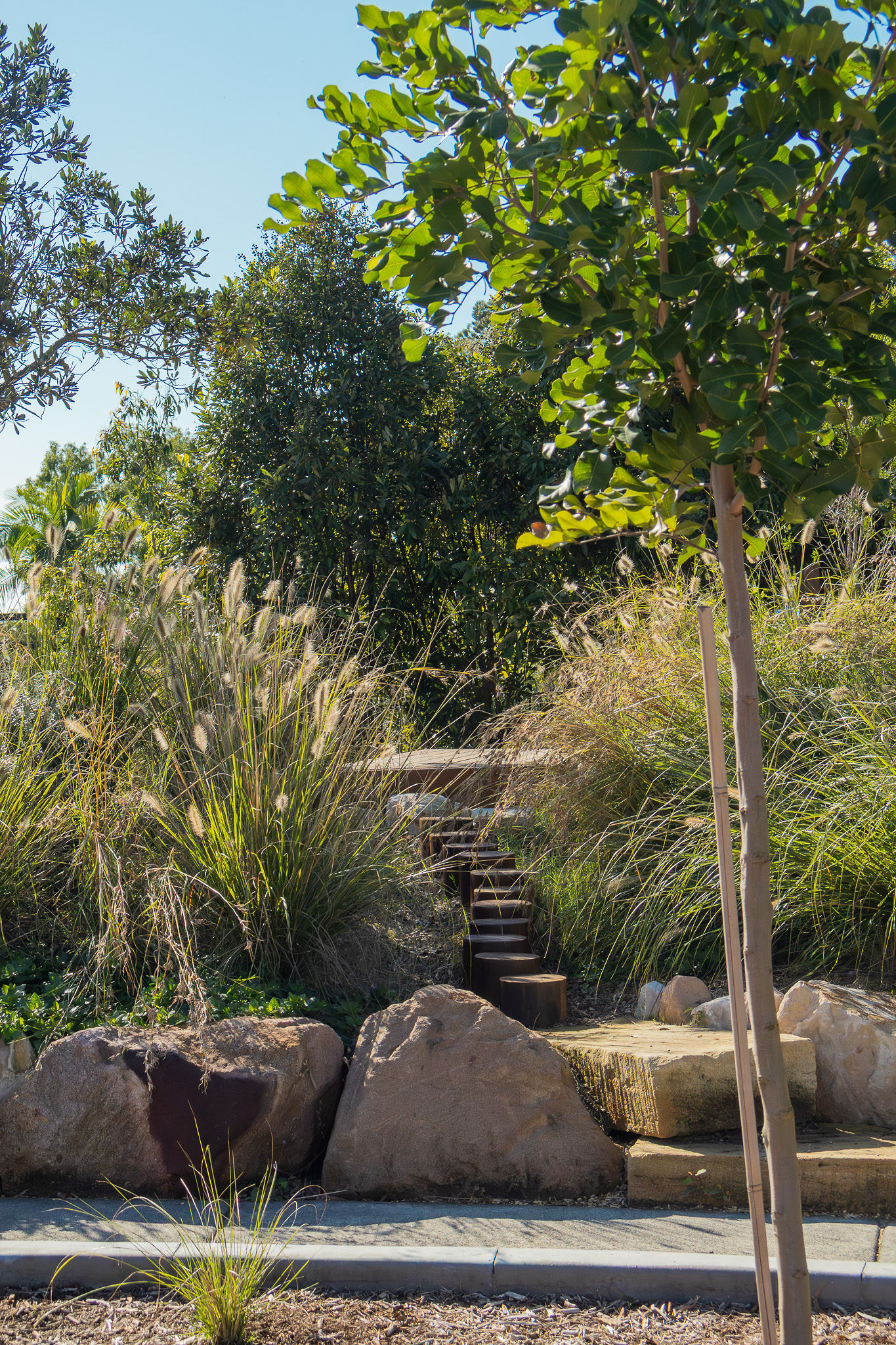 Log-round stepping stones through the boulder garden
