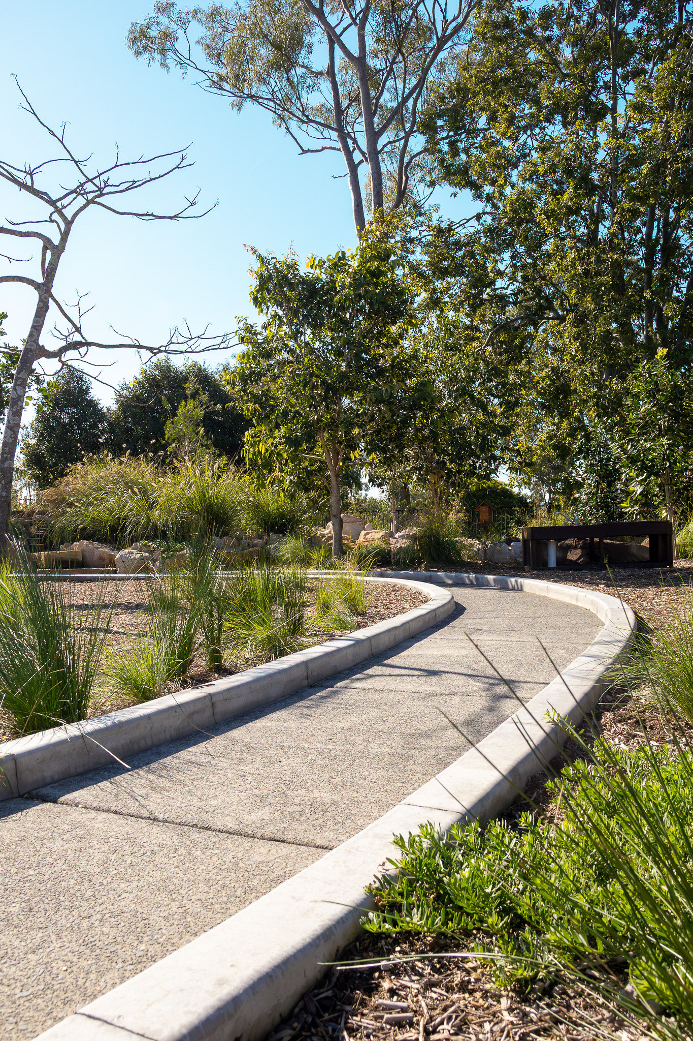 A concrete pathway curving through the nature play zone