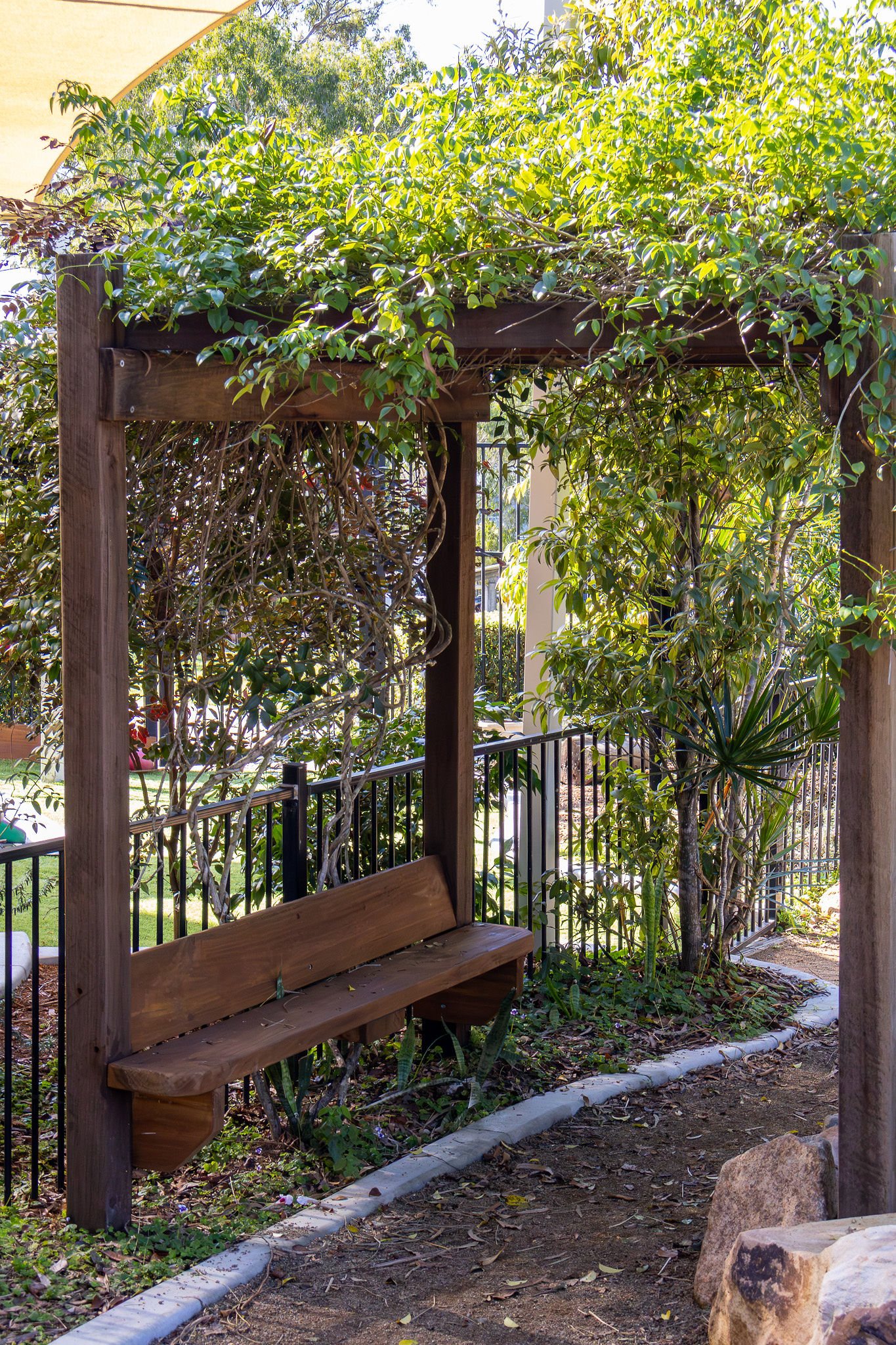 A timber bench beneath the vine-covered garden pergola