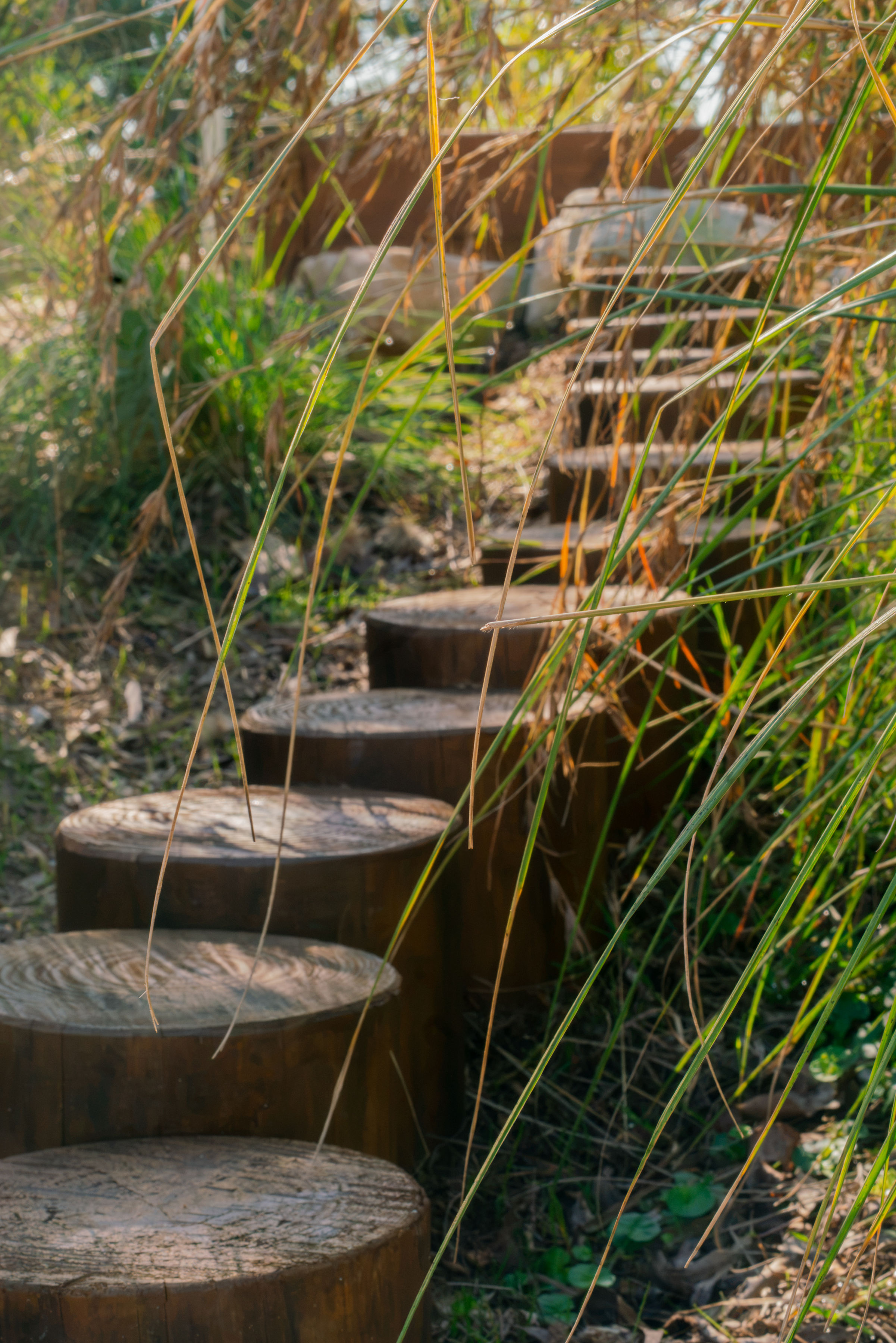 Close-up of the timber log-round stepping trail