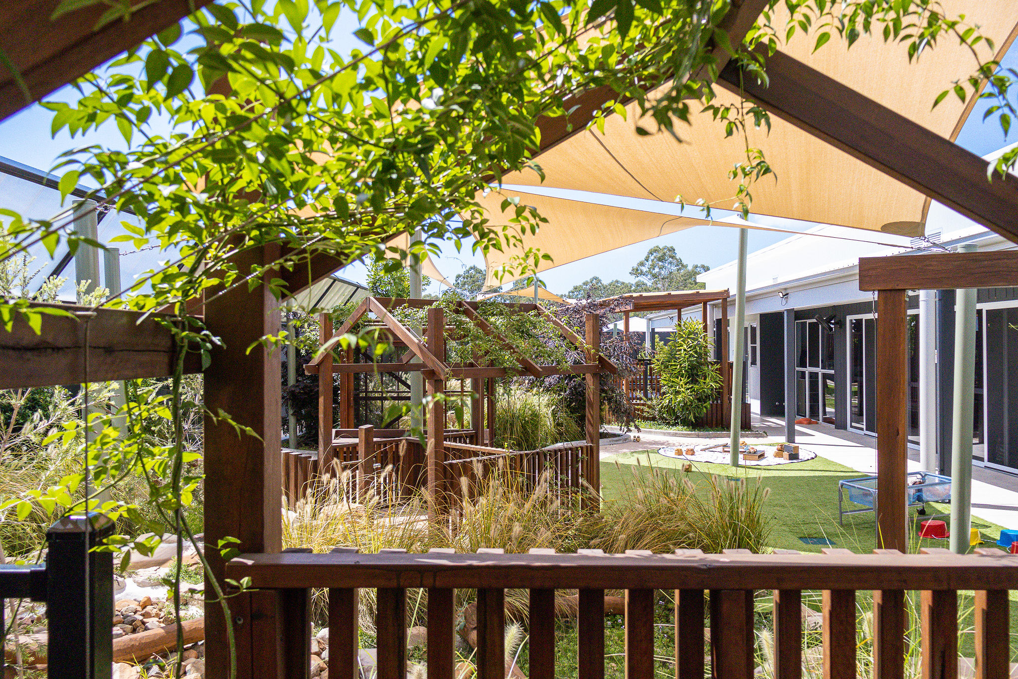 Lush garden landscape with ornamental grasses