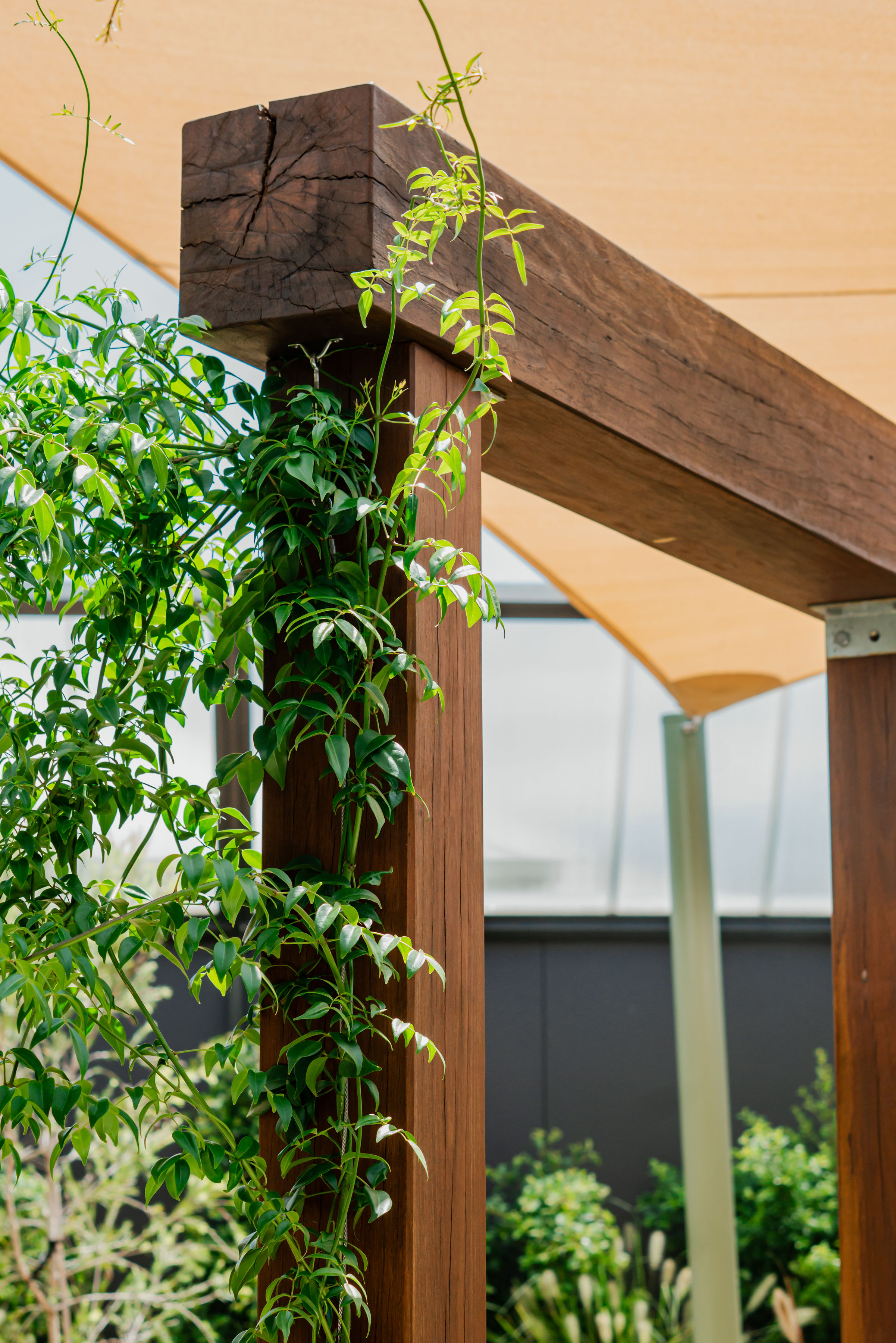 Timber structures amongst the garden